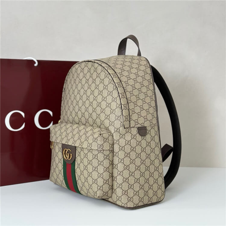 Replica-Gucci-Ophidia-Medium-Backpack-834466-FAEOJ-9747-3.jpg