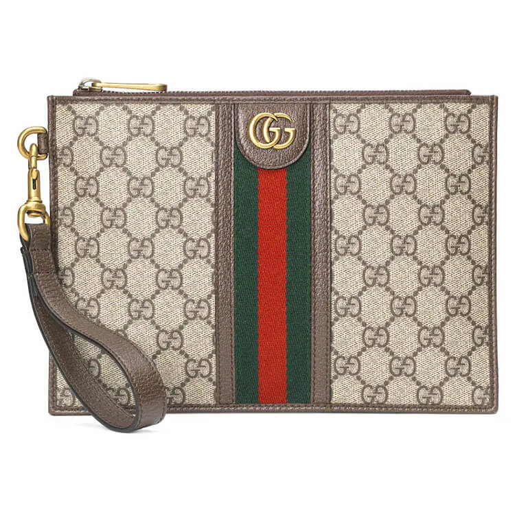 Replica-Gucci-Ophidia-Pouch-With-Web-672989-96IWT-8745-1.jpg