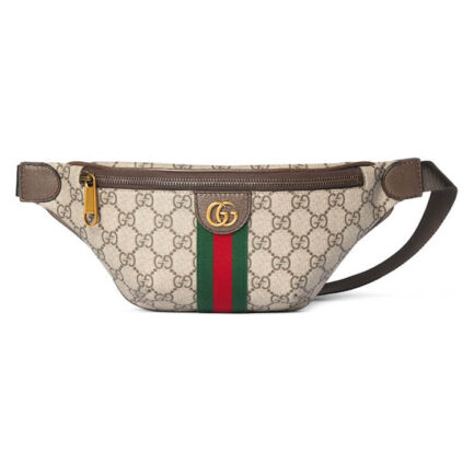 Gucci Ophidia Small Belt Bag